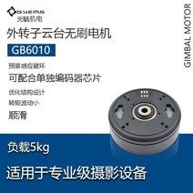 GYEMS-할로우 짐벌 모터 GB6010 하이 토크 프로페셔널 브러시리스 서보 모터 인코더 포함, type 2
