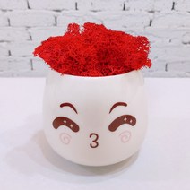 스칸디아모스 천연이끼 공기정화 이모티콘 화분, 큰 이모티콘 모스-레드
