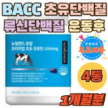 운동후 운동전 초유 류신 루신 단백질쉐이크 홈쇼핑 분리 농축 유청단백 식사대용 추천 치커리 마그네슘 BACC 비씨에이 WIP WPC 식물성대두분리단백 파우더 헬스 뉴신 뮤신