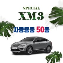 [차랑] XM3 자동차 용품 악세사리 튜닝 차량용품 모음, 31_XM3 메탈 하단 도어스커프