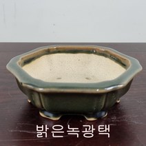 6. 손바닥정원 정육각꽃분 분재화분 승전분, 철류색