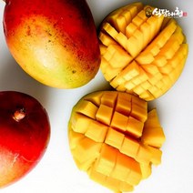식탐대첩 브라질 애플망고 1.5kg 3~4과내, 단품