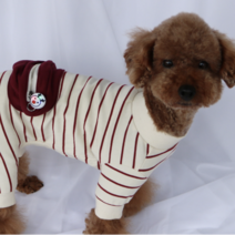 닥스훈트 옷 말티즈 말티푸 소형견 강아지 포켓 스트라이프 올인원, 와인