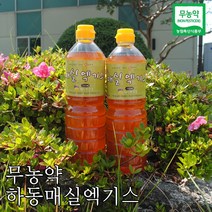 초록사랑 3년숙성 하동 무농약 매실엑기스 매실원액, 1개, 1L