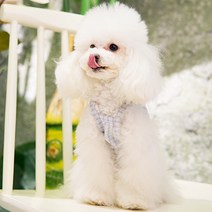 도그월드 고양이 강아지 봄 여름옷 체크 나시티, 하늘