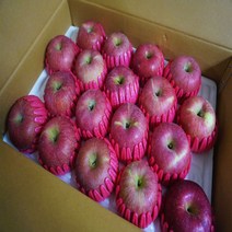 [경북사과]고당도 알뜰 햇사과 특가행사 가정용, 1box, 12.가정용 사과 10kg/중과