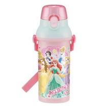 스케이터 은이온 다이렉트 물병, 프린세스, 480ml