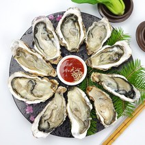 당일채취한 통영 생굴2kg 하프굴(반각굴)30개 석화(각굴)5kg 홍가리비2kg 선택구매_산지직송, 1개, 하프굴(반각굴)30개내외