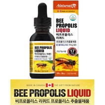 비 프로폴리스 리퀴드 30ml 어린이 액체 면역력높이는 구내염 잇몸 영양제