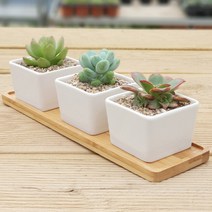 사각 3종 대나무 받침대 다육화분, 화분3P세트, 화분3P세트