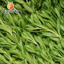 브랜드없음 [우리가락]돌나물(돗나물 돈나물) 1kg, 1개
