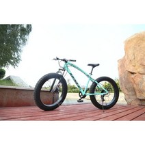 팻바이크 MTB 산악 로드 그래블 입문용 자전거 바이크 7단 24인치 26인치 13종, 07.비앙키 그린