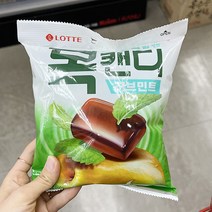 롯데 목캔디 217g x 2개