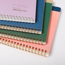 프로젝트 기간별 일정관리 만년 플래너 플래너다이어리 나만의다이어리 자기주도학습 휴대하기좋은크기, 4그린