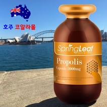 스프링리프 프리미엄 프로폴리스 2000mg 365캡슐 호주직구 호주코알라몰, 1병 365캡슐