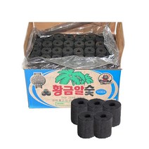 SN월드 캠핑 숯 바베큐참숯 조개구이 강추 화력최강 황금알숯120개입 야자숯, 1개, 12kg