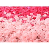 Led 빨간색 장미 이벤트소품 결혼기념일 고백 화동, 8. 브러쉬퍼플