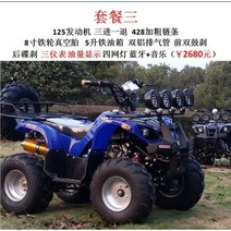 ATV 4륜오토바이 농업용운반차 250cc 300cc 사륜바이크 농업용팜트럭, 작은 황소 패키지 3