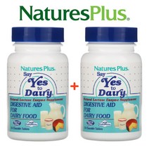 (1+1) 네이처스플러스 Enzyme DairyMate 락타아제 엔자임 효소 츄어블 50정 2팩