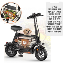 PAS 전기 자전거 명품 레트로 고성능 대용량 경량 배달용 출퇴근용, 2인승 15A(약 80km운행), 카본