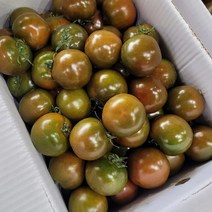 국산 프리미엄 흑토마토 2.5kg 5kg, 5kg, 1개