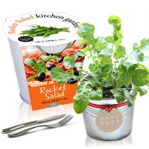 [천삼백케이] [농업회사법인 세경팜 주식회사] 세경팜 양철키친가든 루꼴라 식물키우기 텃밭가꾸기, 샐러리