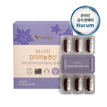1+1//120캡슐 감마리놀렌산 보라지꽃종자유60캡슐 갱년기건강 달맞이꽃종자유, 2셋트, 2셋