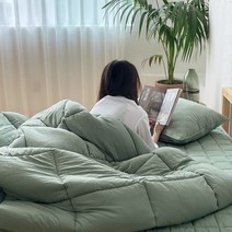 모던하우스 충장 마이호텔 모달혼방 고밀도워싱 싱글차렵베개세트 제이드그린