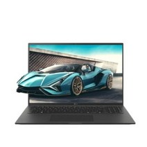 LG전자 2021 그램, 옵시디안 블랙, 16ZD95P-GX5BK, 코어i5 11세대, 256GB, 8GB, Free DOS