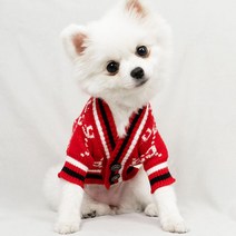 강아지구찌옷 인기 제품 할인 특가 리스트