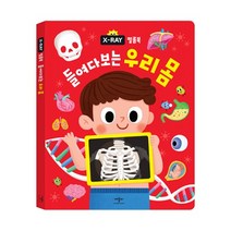 애플비 2023 정품 X-RAY 필름북 들여다보는 우리 몸/사운드북/유아도서/인성도서/플랫북/한글공부동화책 2023정품