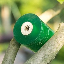 1 롤 너비 20mm-100mm 과일 나무 접목 멤브레인 필름 신축성 있는 정원 식물 보호 보육 테이프 자체 접착 필름129663, Width 20mm, Green Film