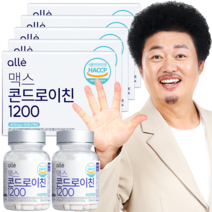 콘드로이친 1200 관절 알레 엔 앤 식약처 인증 90정 추천 윤택 효능, 5박스