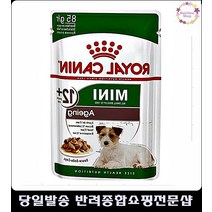 까탈스러운강아지입맛증진필수영양간식 웰시코기사료추천 기호성좋은강아지사료 사료잘안먹는강아지