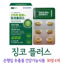 징코 플러스 진코 찡코 찐코 은행잎 추출물 영양제 식야처 인증 캡슐 넣는 알약 케이스 증정, 6개, 30정