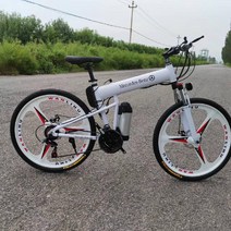 차량수납가능 출퇴근 전기자전가 대용량 초경량 야외레저용 교체가능 배터리, 하얀색