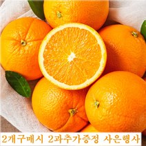 [2개구매시 2과 추가증정행사]퓨어스펙오렌지 블랙라벨 5과 대과 중소과 소과 제철 한박스 주스용, 대과 5과(2개 구매시 1과 추가증정)