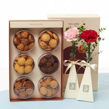 유어버스데이 뚜레쥬르 디럭스쿠키+카네이션두송이[어버이날 카네이션]