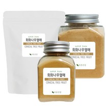 바른건강 스푼증정 회화나무열매 추출 분말 가루 회화나무 열매 추출물 괴각추출분말 회화나무열매분말100%, 3개, 100g