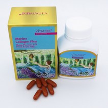 호주 비타트리 마린콜라겐 플러스 100정