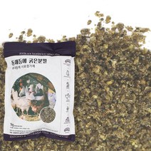 동애등에 사료첨가제 - 굵은분말 1kg 산란닭 메추리 오리 관상닭 청계 닭 간식 영양만점