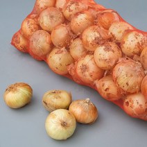 직거래농민장터 국내산 아삭아삭 햇 양파 요리용 장아찌용, 1박스, 햇 양파 특 10kg