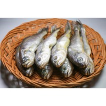 국내산 여수 섶간 참조기 1미 75g 대형 사이즈 15미 1kg, 참조기 중대 15미 (팩당 3미 190g 내외) 5팩