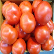 가락시장 토박이유통 완숙 토마토 5kg 특1번/ 특2번, 특 2번 5kg