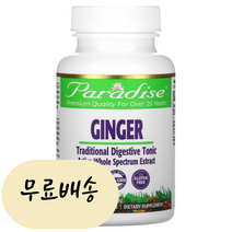 [미국타블렛품 100%보장] 생강 식물성 타블렛 60개 빠른직구 PAR77724