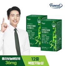 퍼니트 기억력 혈행개선 은행잎추출물 징코플러스 2박스 2개월분, 없음, 상세 설명 참조