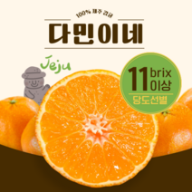 [다민이네]제주 서귀포 노지 조생 감귤 3kg 5kg (실중량 2.5kg 4.5kg), 1개, 3kg(대과L-2L 쥬스용)