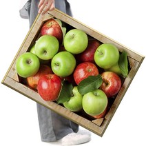 [diy키트리스] FASEN 사은품+액자 캔버스형보석십자수 DIY세트 라운드 비즈 40 X 50cm, FSE60.돈들어오는 사과