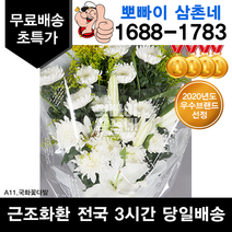 (뽀빠이삼촌네) 국화꽃다발 추모꽃다발 조문화환 장례식 전국꽃배달 총알배송 장례식 조문 추모 3시간이내 배송 화한, 알뜰형 근조바구니