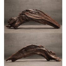 맹그로브나무 뿌리 어항 파충류 가지유목 장식 나무